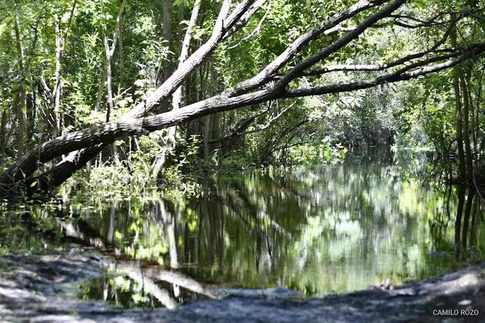 Big Buck Camp Picture 8