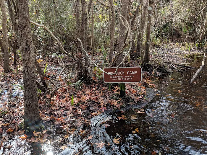 Big Buck Camp Picture 4