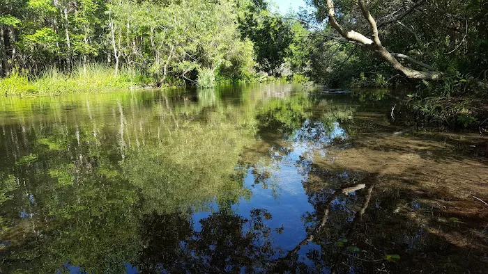 Big Buck Camp Picture 9