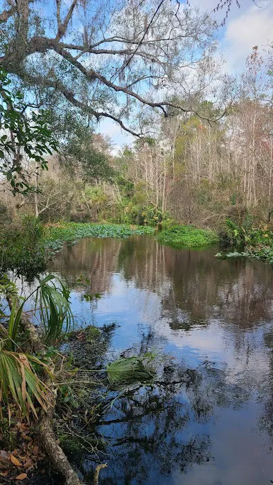 Big Buck Camp Picture 6