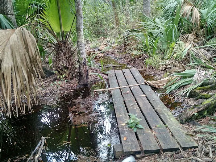 Big Buck Camp Picture 10