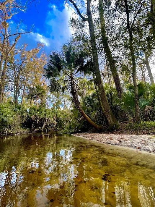 Big Buck Camp Picture 7