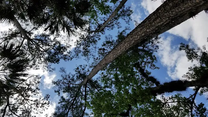 Indian Mound Camp Ground Picture 6