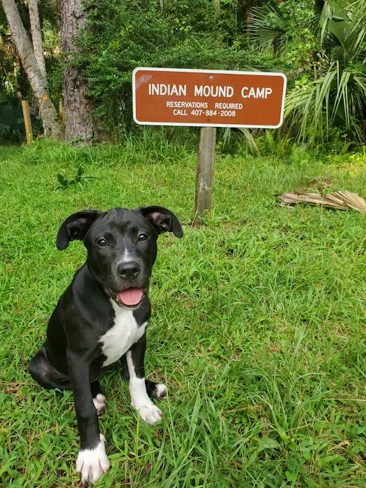 Indian Mound Camp Ground Picture 8