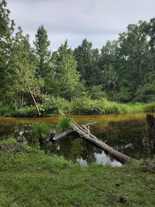 Indian Mound Camp Ground Picture 9