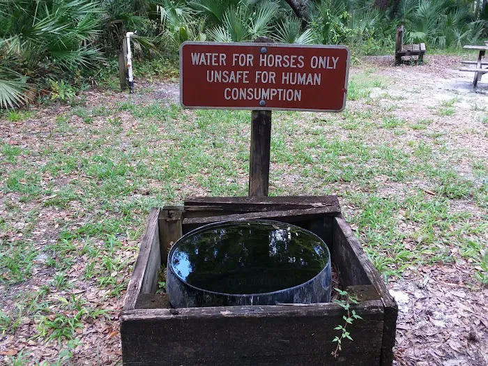 Big Fork Campsite Picture 1