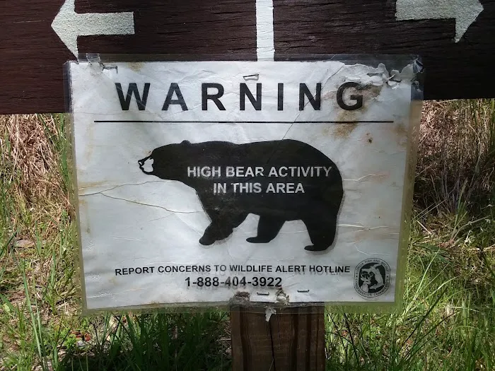 Big Fork Campsite Picture 4