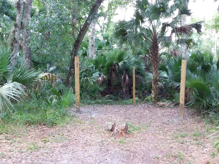 Big Fork Campsite Picture 2