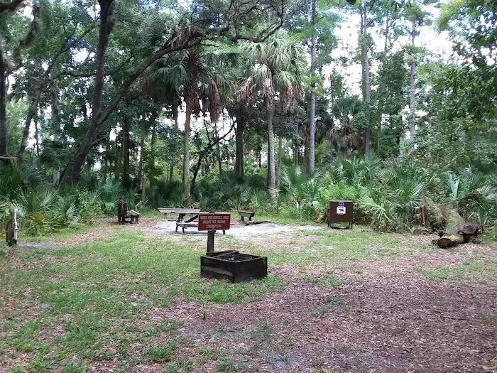 Big Fork Campsite Picture 3