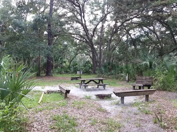 Big Fork Campsite Picture 5