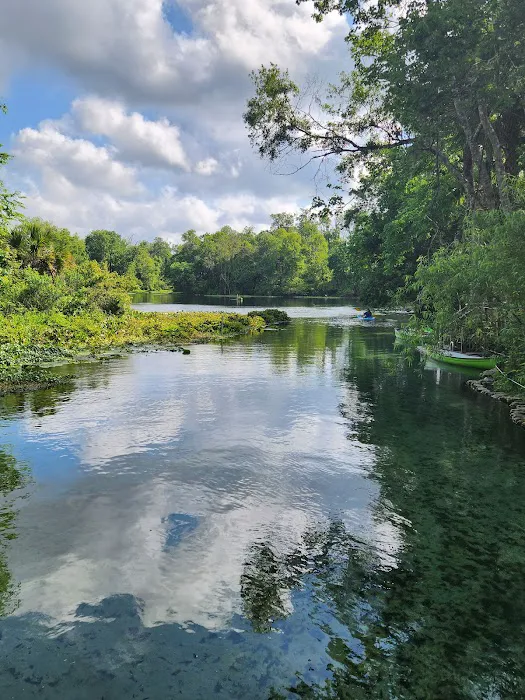 Wekiwa Springs State Park Campground Picture 2