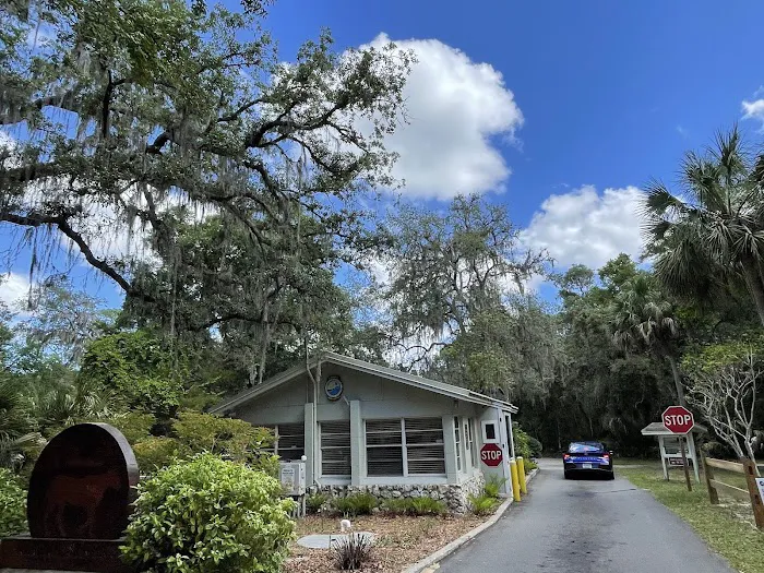 Wekiwa Springs State Park Campground Picture 8