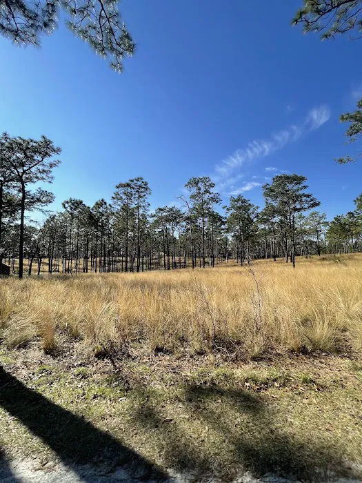 Wekiwa Springs State Park Campground Picture 6