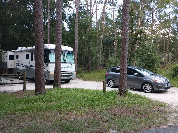 Wekiwa Springs State Park Campground Picture 9