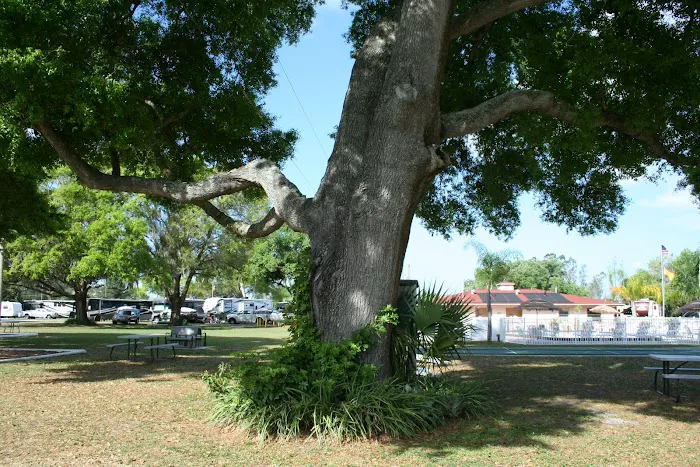 Orlando NW / Orange Blossom KOA Journey Picture 9