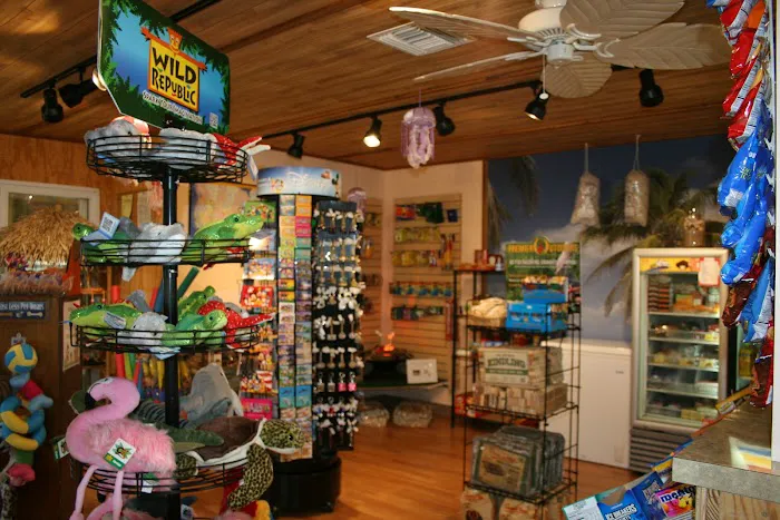 Orlando NW / Orange Blossom KOA Journey Picture 5