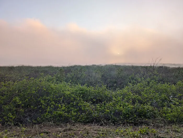 Roper Island Central Florida council BSA Picture 3