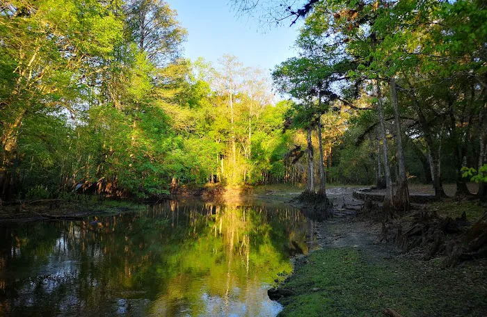 Hog Island Recreation Area, Campground & Kayak Launch Picture 3
