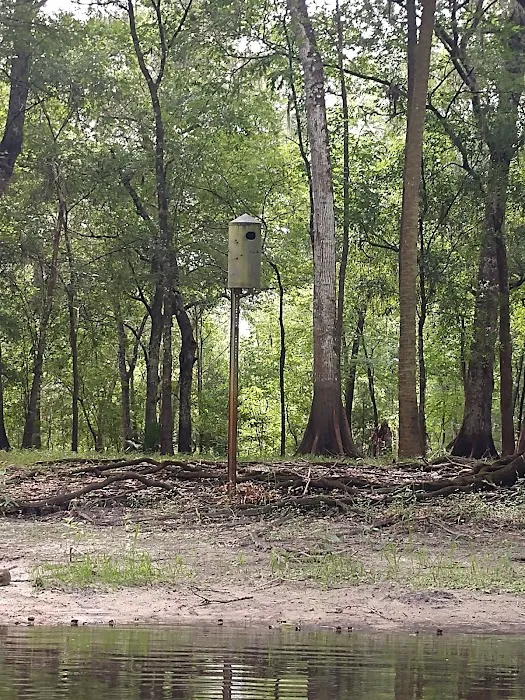 Hog Island Recreation Area, Campground & Kayak Launch Picture 6