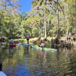 Hog Island Recreation Area, Campground & Kayak Launch