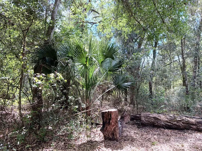 Hog Island Recreation Area, Campground & Kayak Launch Picture 7