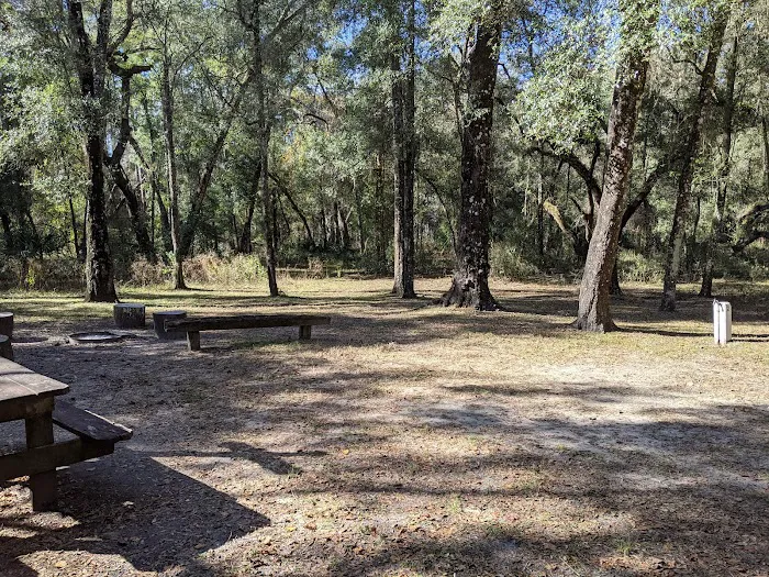Hog Island Recreation Area, Campground & Kayak Launch Picture 10