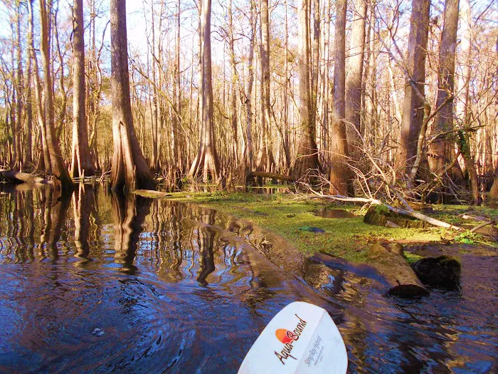 Hog Island Recreation Area, Campground & Kayak Launch Picture 8