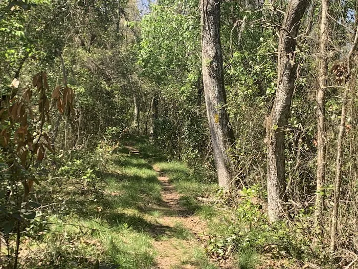 Silver Lake Campground Picture 4