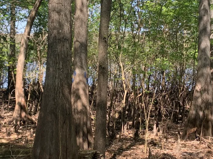 Silver Lake Campground Picture 6