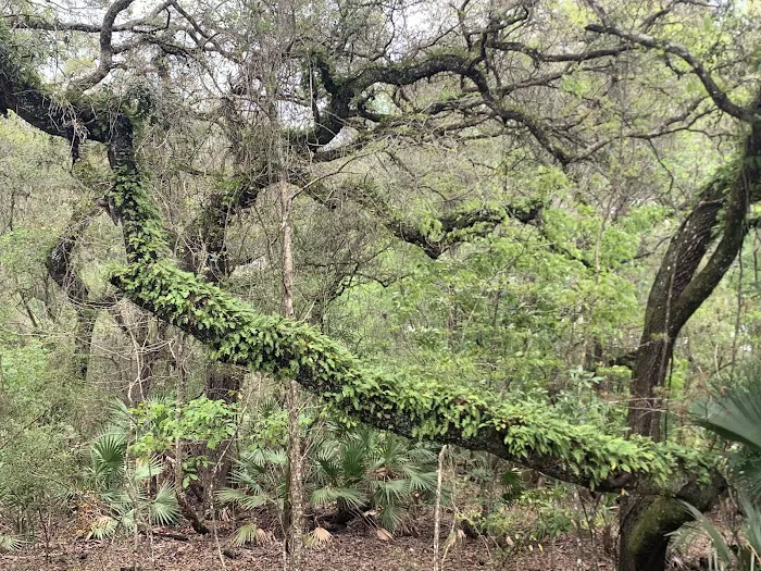 Silver Lake Campground Picture 7