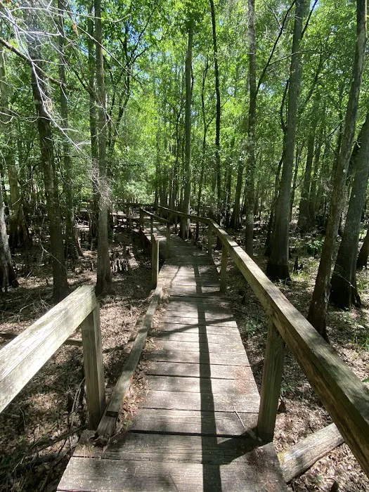 Cypress Glen Campground Picture 9