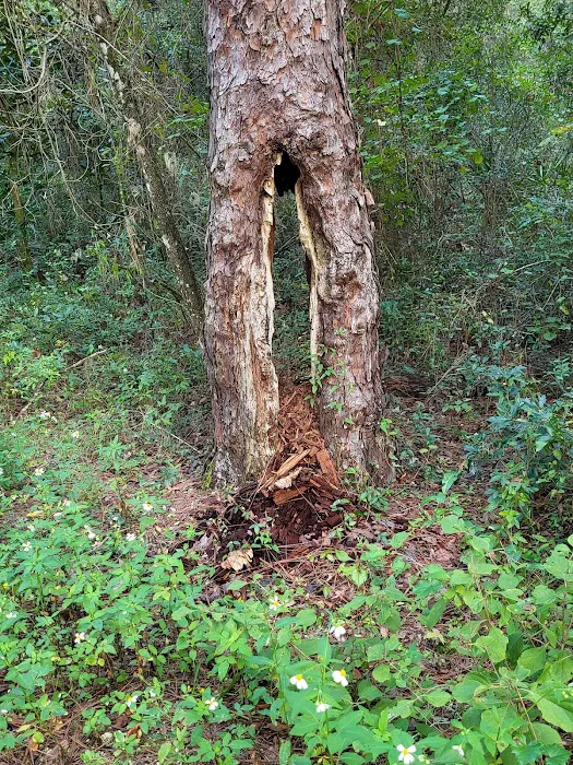 Cypress Glen Campground Picture 4