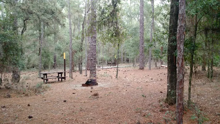 Colonel Robin's Group Area Picture 6