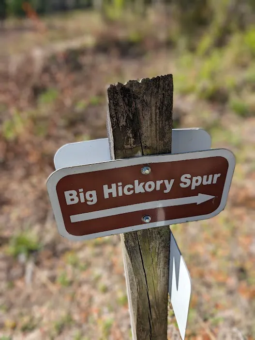 Colonel Robin's Group Area Picture 3