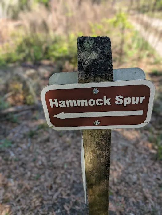 Colonel Robin's Group Area Picture 1