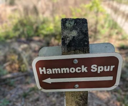 Colonel Robin's Group Area