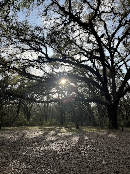 Pless Place Camp Picture 3