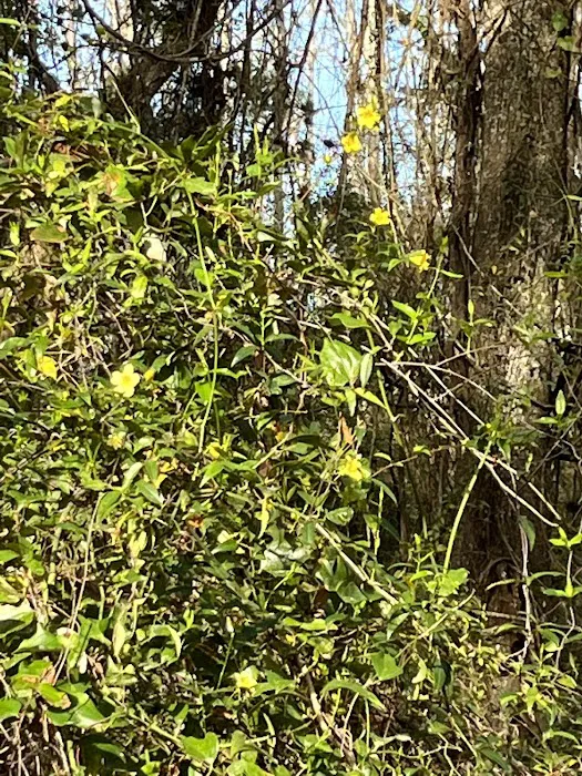 Pless Place Camp Picture 4