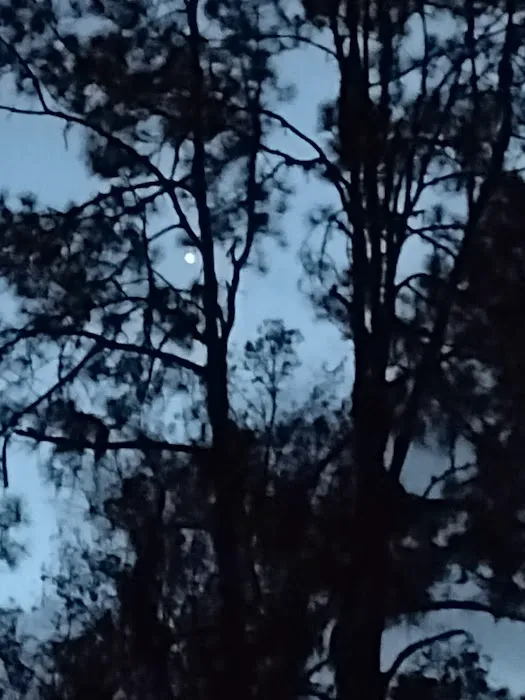 Pless Place Camp Picture 10