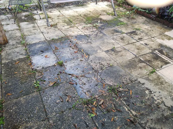 Ridge Manor Campground Picture 1