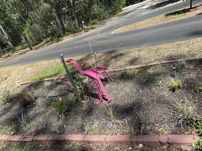 Ridge Manor Campground Picture 10