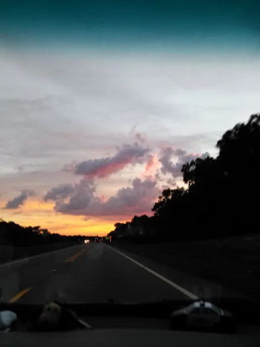 Ridge Manor Campground Picture 9