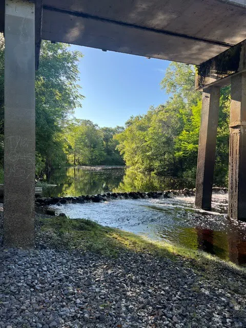 Withlacoochee River RV Park Picture 3