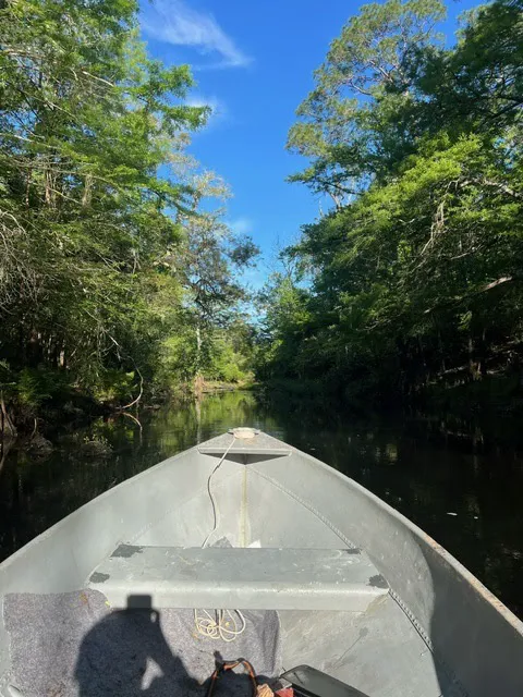 Withlacoochee River RV Park Picture 5