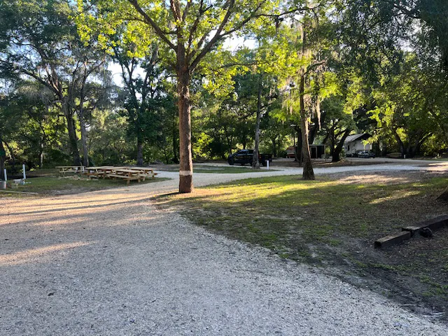 Withlacoochee River RV Park Picture 9