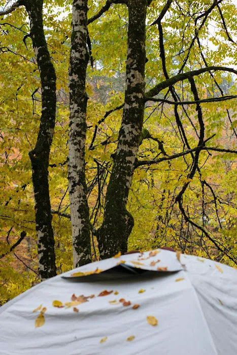 Campground Membership Outlet Picture 9