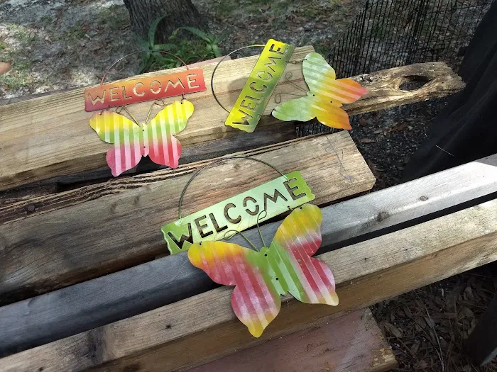 Hawks Nest RV Park & Campground Picture 7