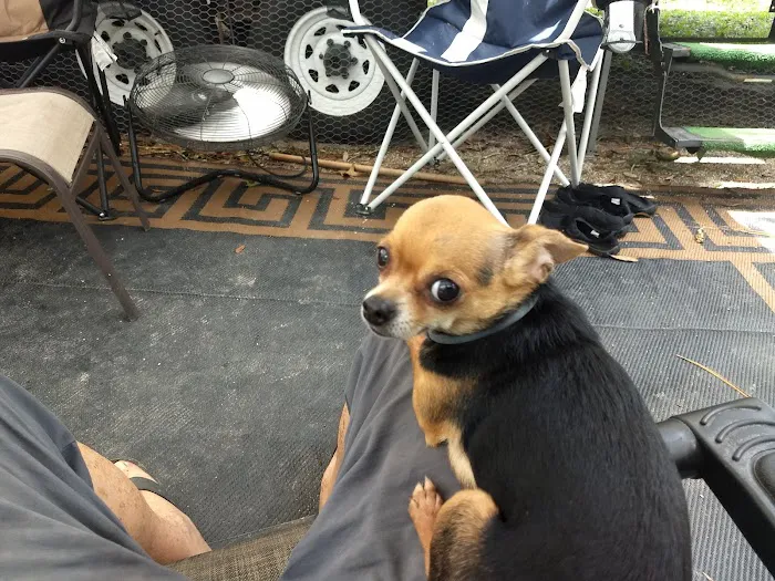 Hawks Nest RV Park & Campground Picture 6