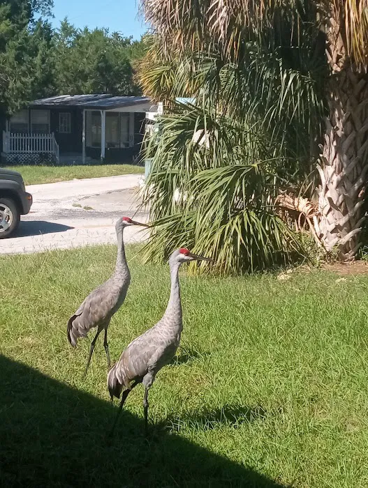 Camp-A-Wyle Camp Ground Picture 7