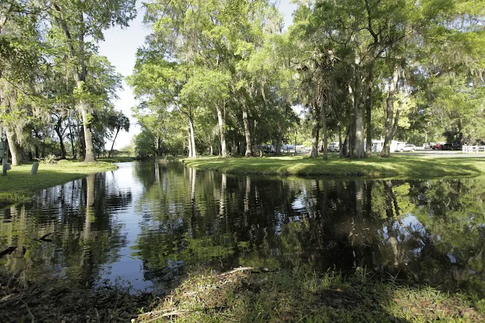 Clover Leaf Forest RV Resort Picture 6